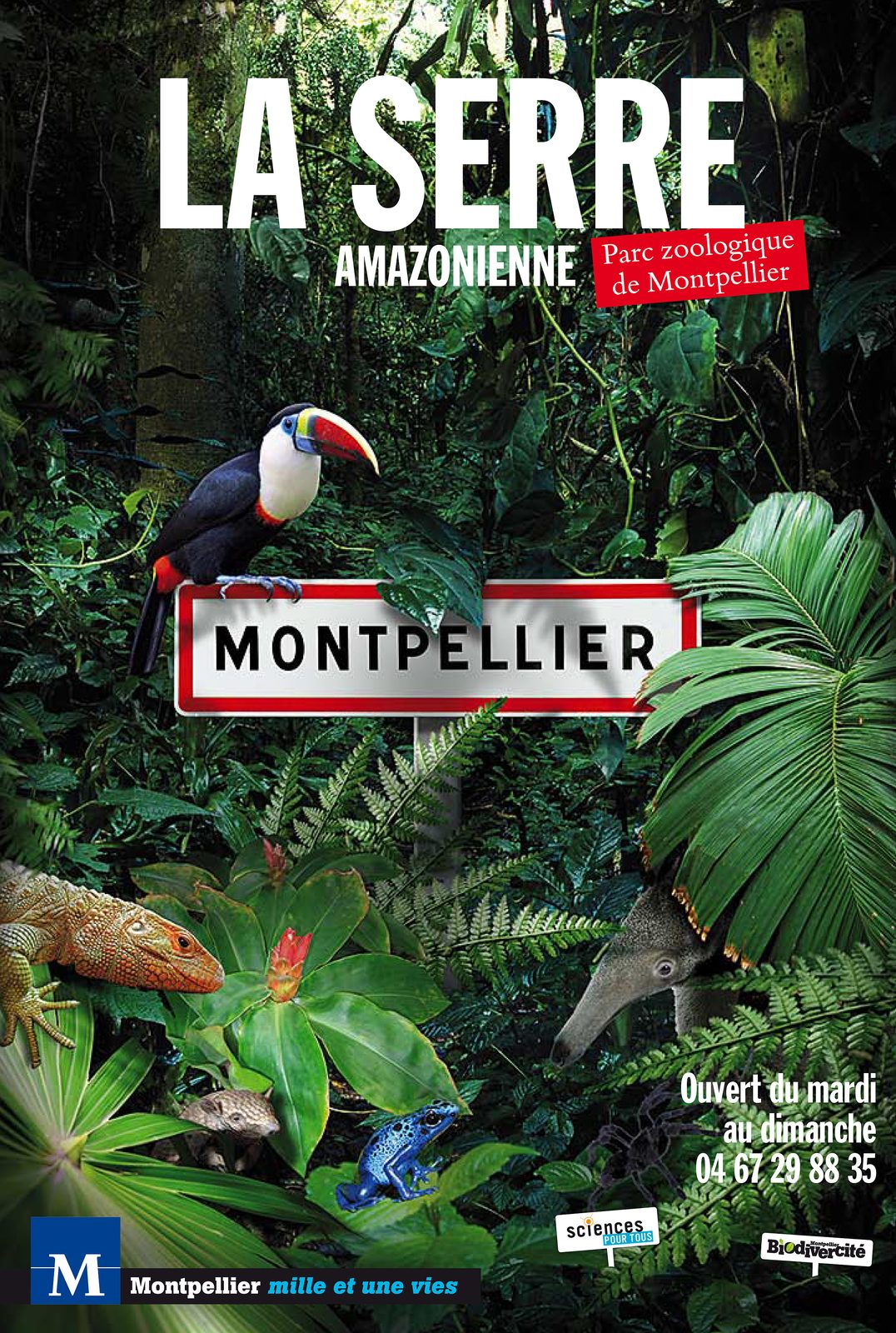 Retouche créative — œuvre 15 de Philippe Azzaretti